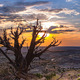 Thumb_desert_scape_lores