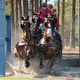 Thumb_lineoak20th0412