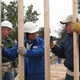 Thumb_omweb-habitat-img_3632-big