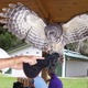 Thumb_owl-ween_2008_015