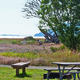 Thumb_sk_vista_picnic
