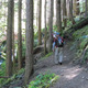 Thumb_hike_trail_pic
