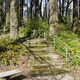 Thumb_stone_park_steps