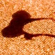 Thumb_stained_2