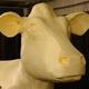Thumb_butter_cow