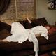 Thumb_265_1