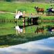 Thumb_238_1