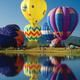 Thumb_282_1