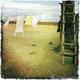 Thumb_382_1