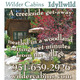 Thumb_wilderad_copy
