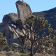 Thumb_248