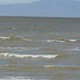 Thumb_borrego_springs_salton_sea_4.12_259