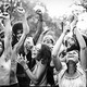 Thumb_woodstock