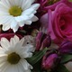 Thumb_image