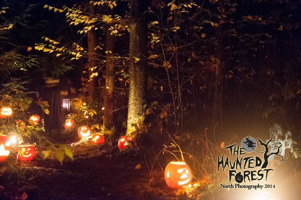 5 Spooky Attractions To Visit in Vermont This Halloween Best of