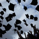 Thumb_20edlife-graduation-articlelarge