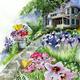 Thumb_garden_20tour