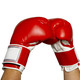 Thumb_mp900431010