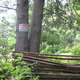 Thumb_gun_20house_20001