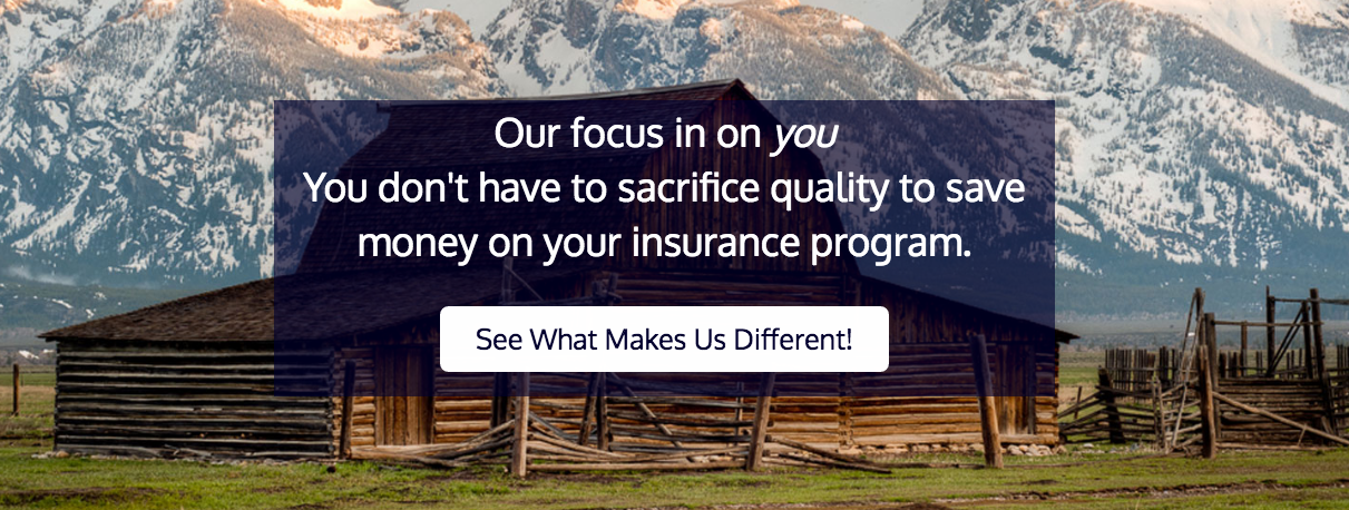 T.D. McNeil Insurance Services