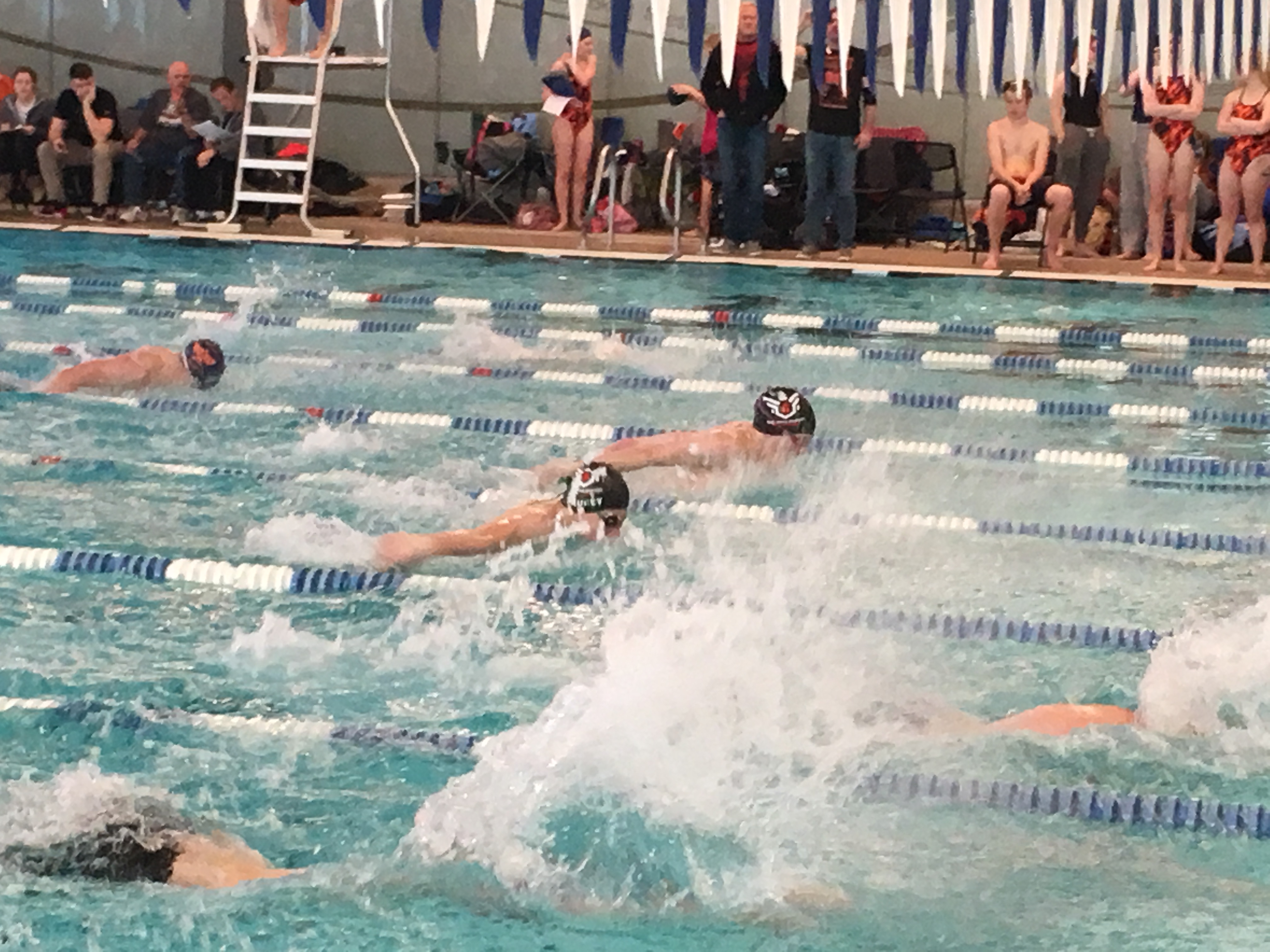 Alta swimmers have a solid year in the water, push themselves beyond their  comfort zone | Sandy Utah News