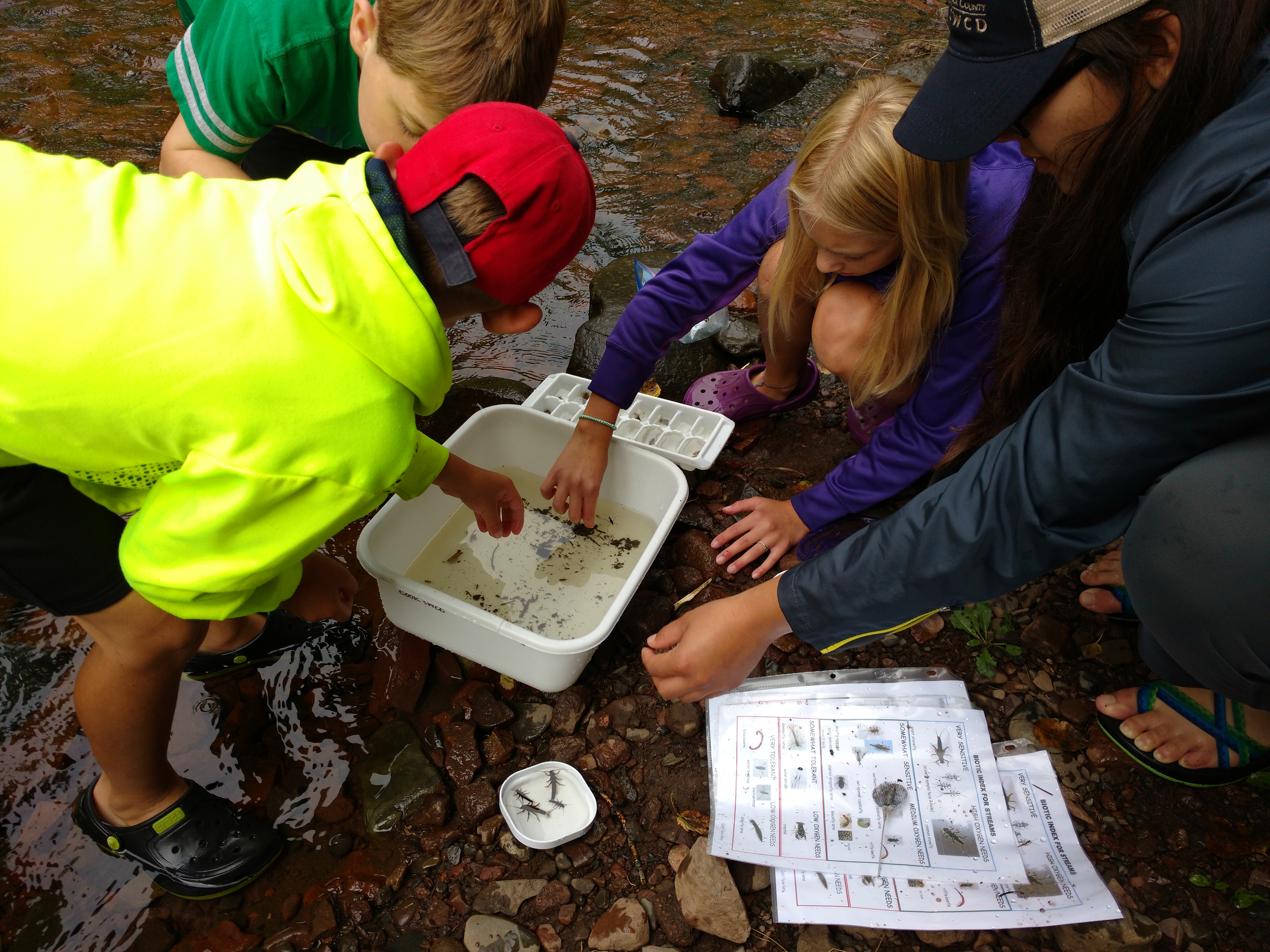 Aquatic Macro-Invertebrates Workshop