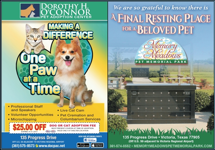Bill S Pet Cremation Services Prices