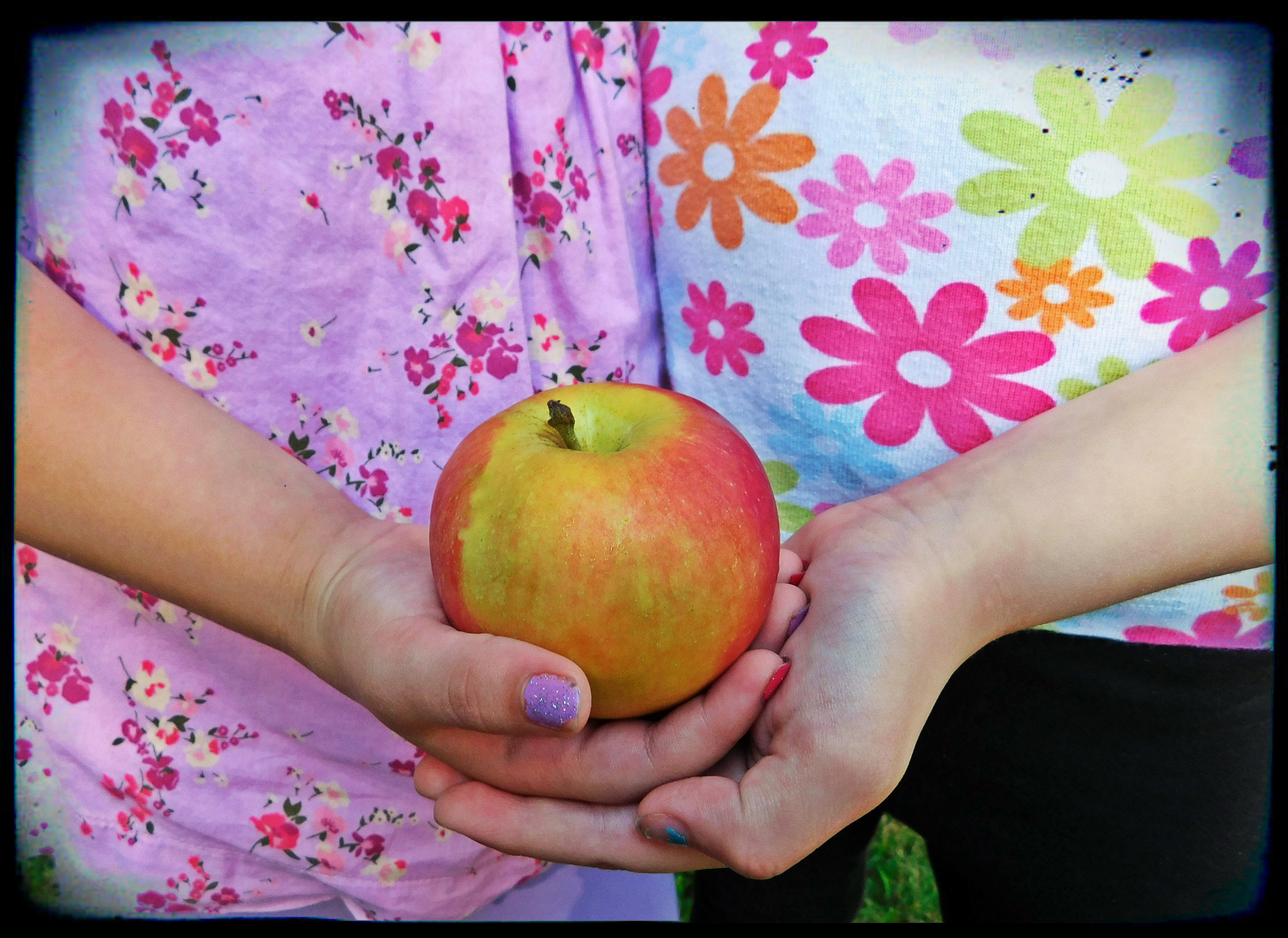 Dracut Food Pantry Is Filling Hearts With Hope Your Dracut Today