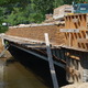 Thumb_bridge