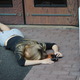 Thumb_dsc_0339