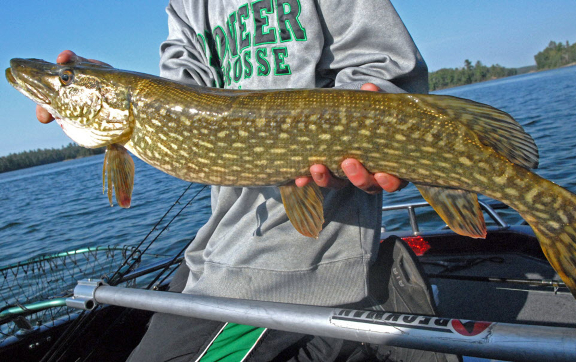 New northern pike fishing regulations coming in spring 2018 Boreal