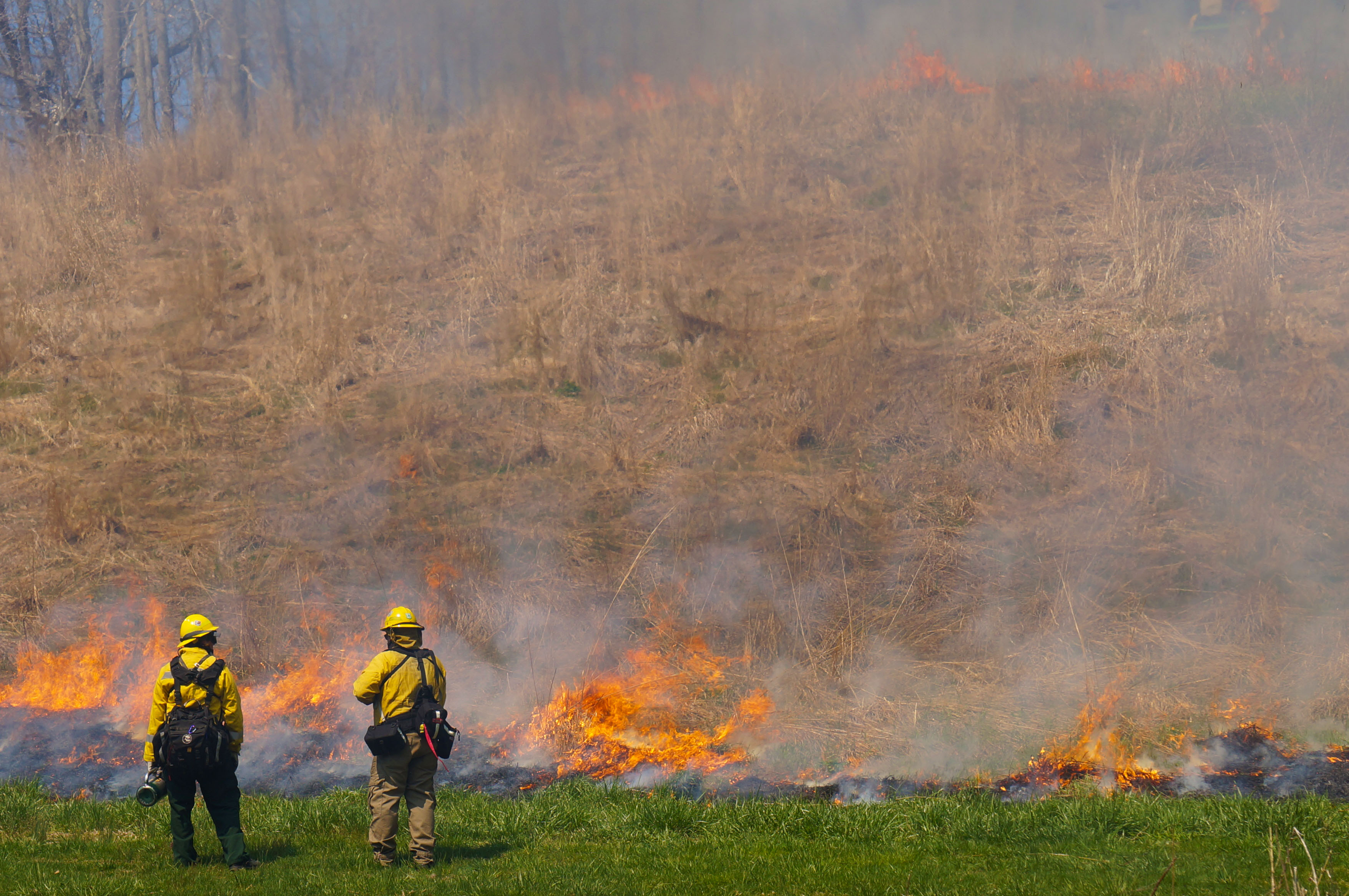 A Burning Ring of Fire Habitat Renewal
