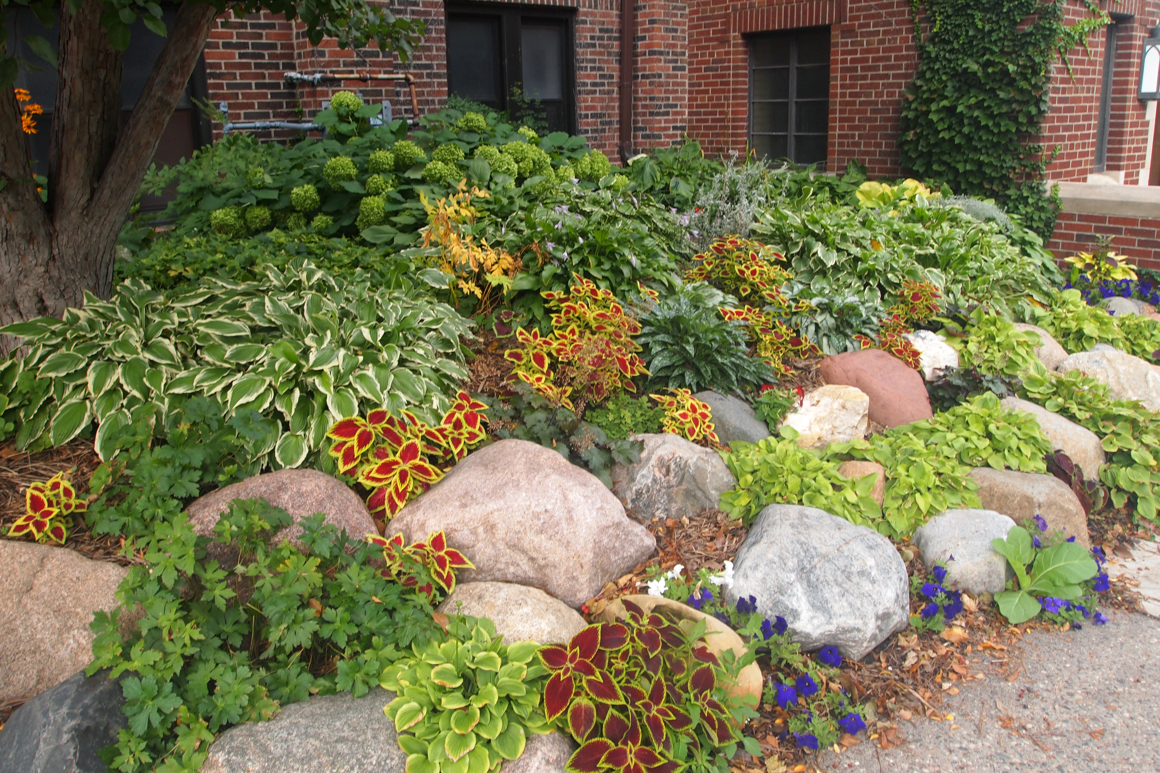 How to Create a Rain Garden Susquehanna Life How to Create a Rain Garden Susquehanna Life