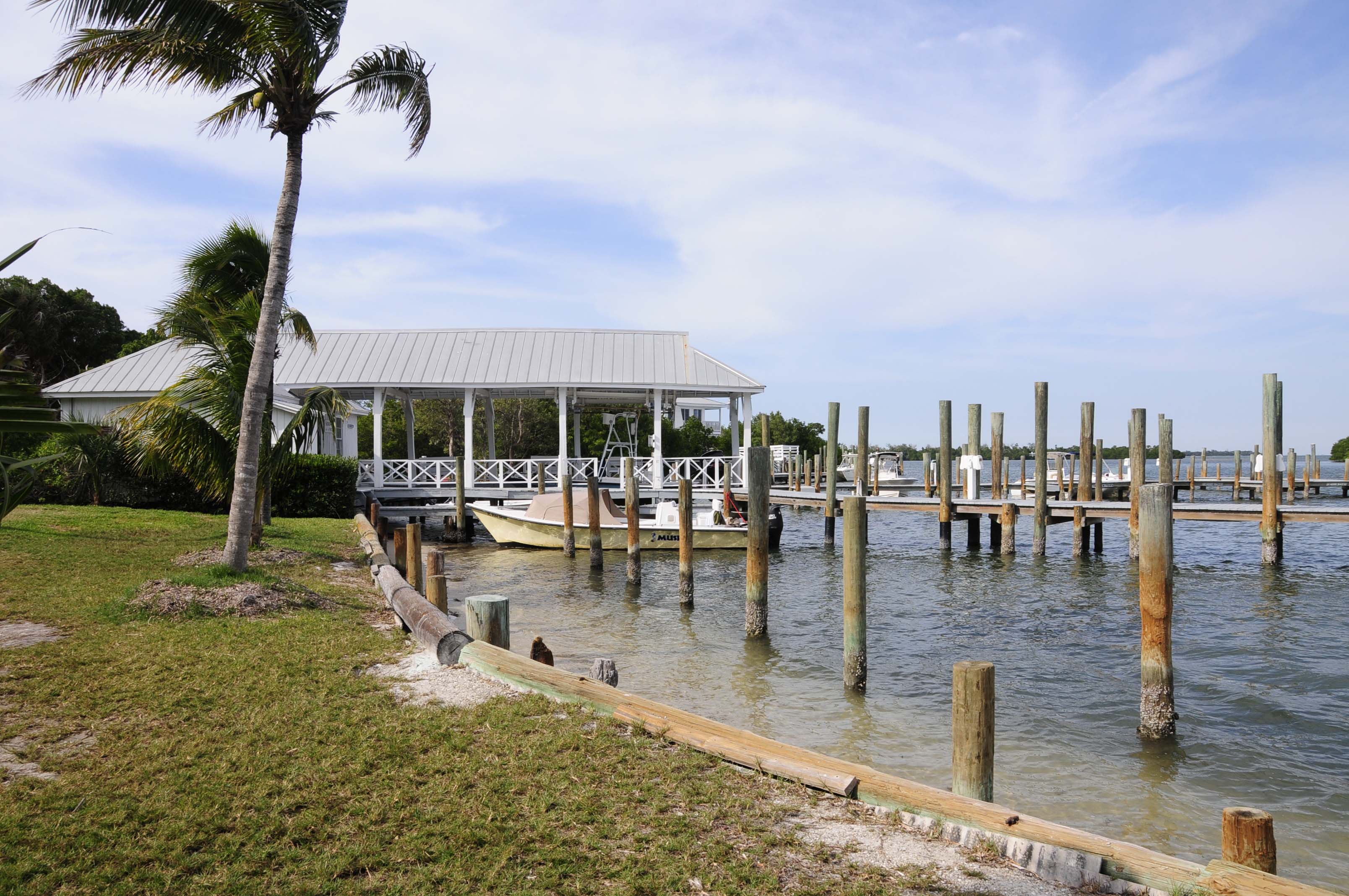 Mystery of Palmetto Island Our Backyard on the Water is Full of