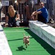 Thumb_oktoberfest2011_timhill_web4