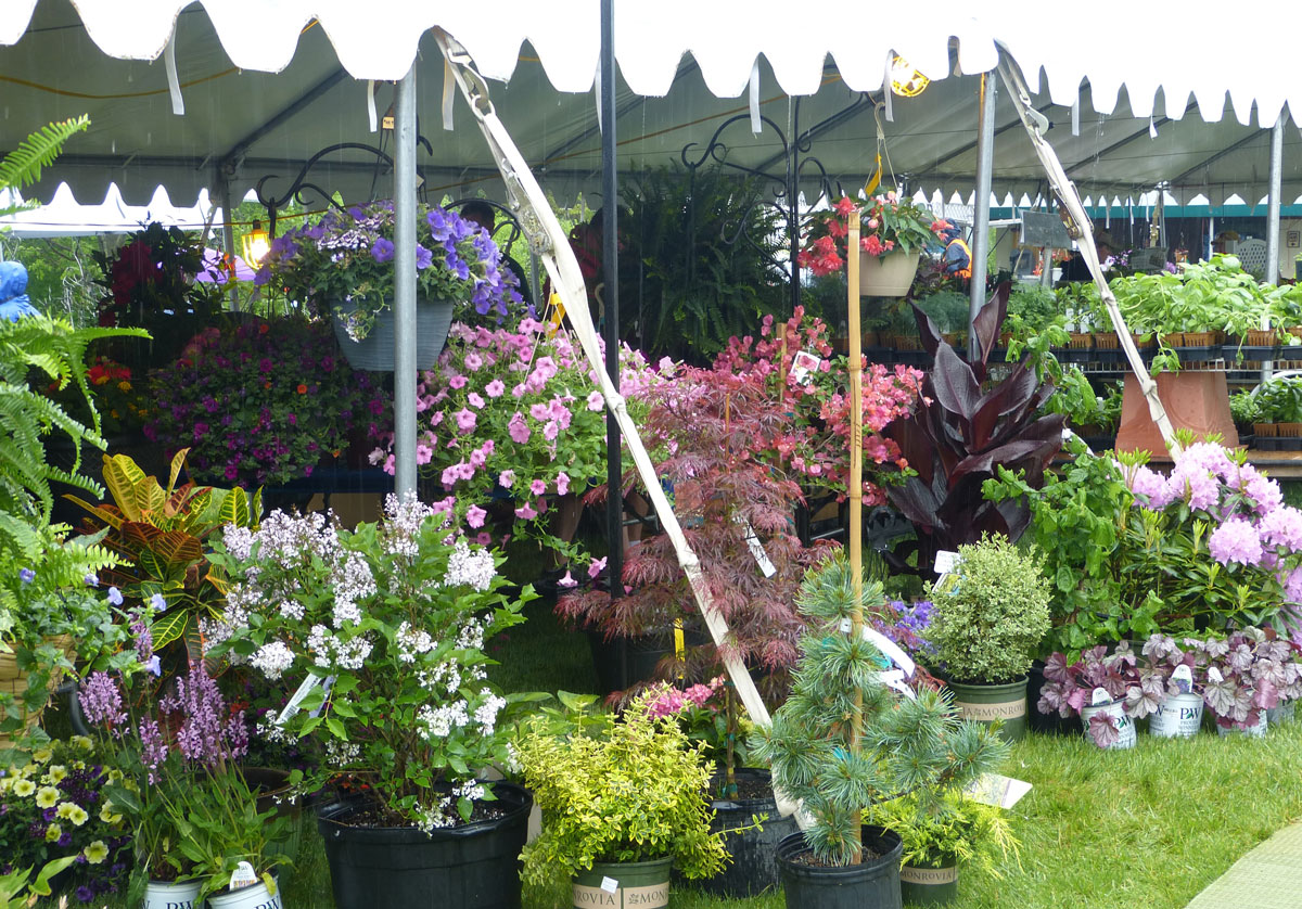 Holden Arboretum Plant Sale