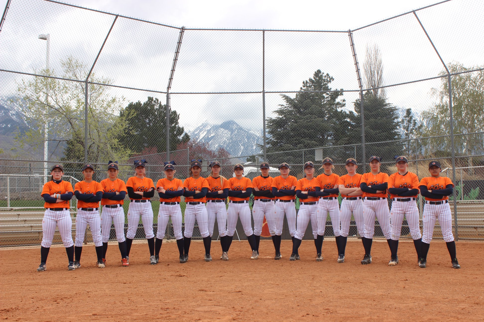 Brighton wins tiebreaker to secure final softball playoff spot