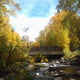 Thumb_2013-10-02-12.21.31