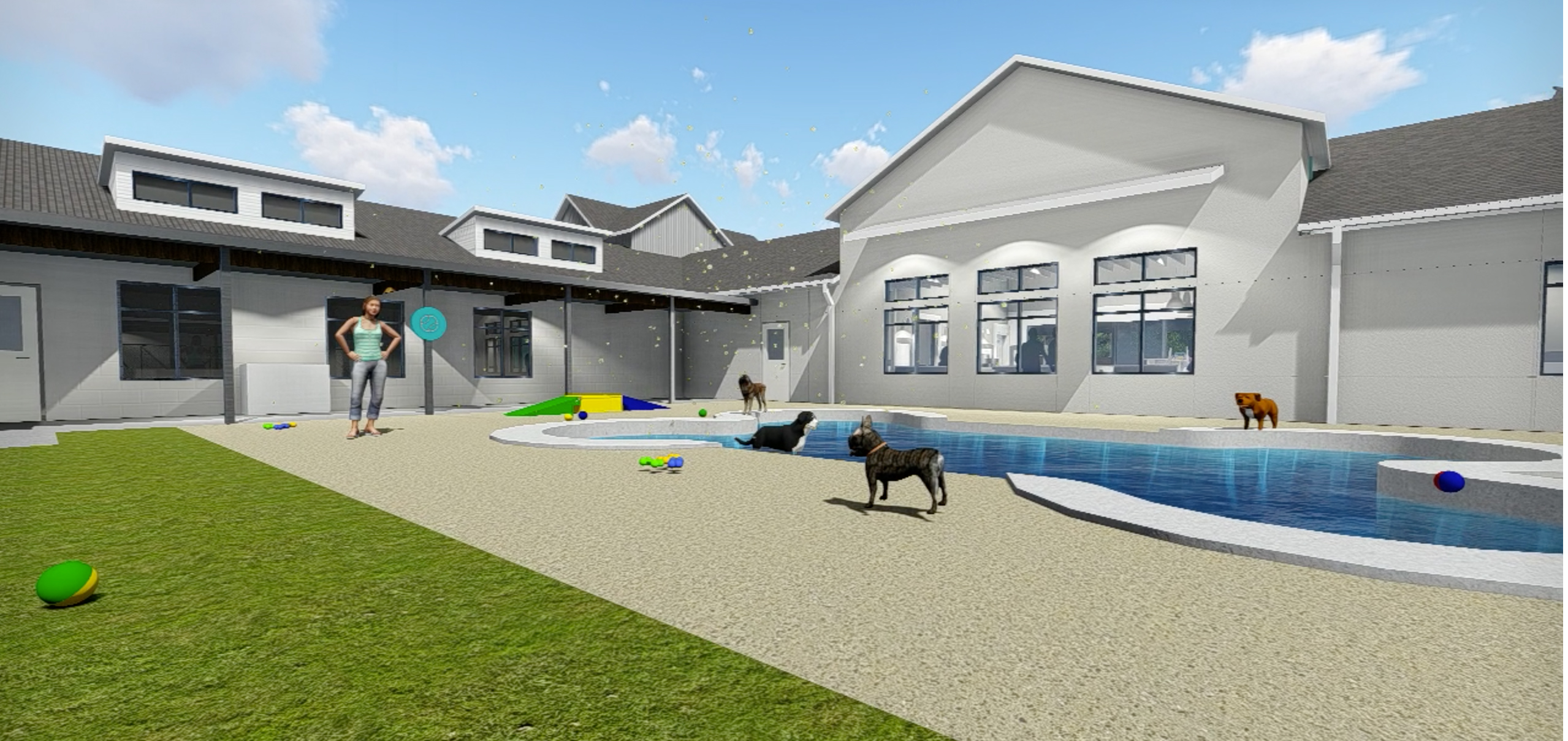 Pet Paradise To Open First Greenville Location Greenville Business