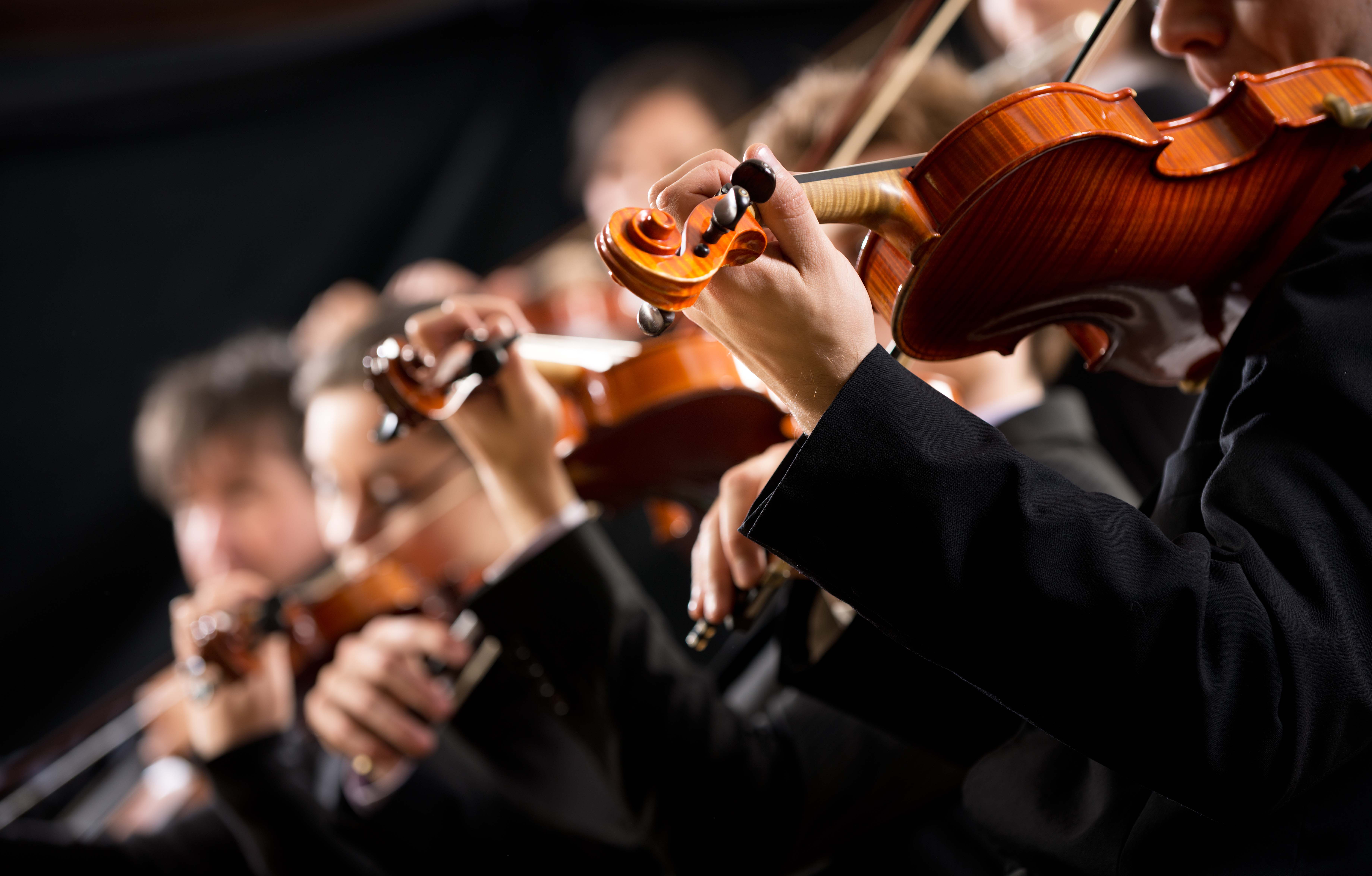 Support For The Artistic World Exploring The Symbiotic Relationship 