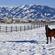 Thumb_montana_web2