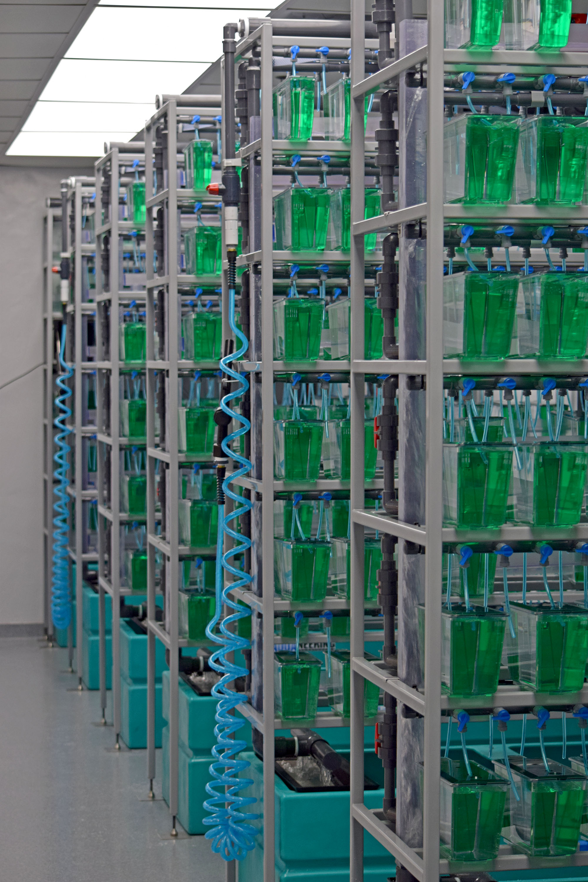 1.75 Million investment in laboratory equipment and