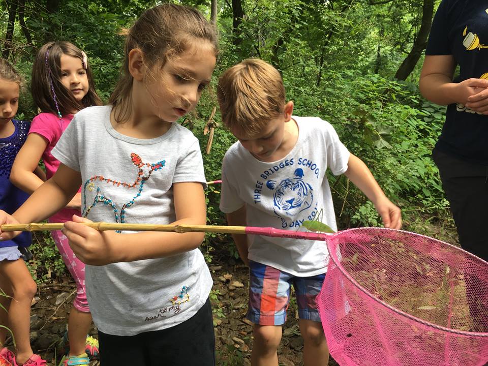 Kids Art & Clay Summer Camps in Chester County