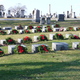 Thumb_wreaths-1