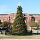 Thumb_img_1578