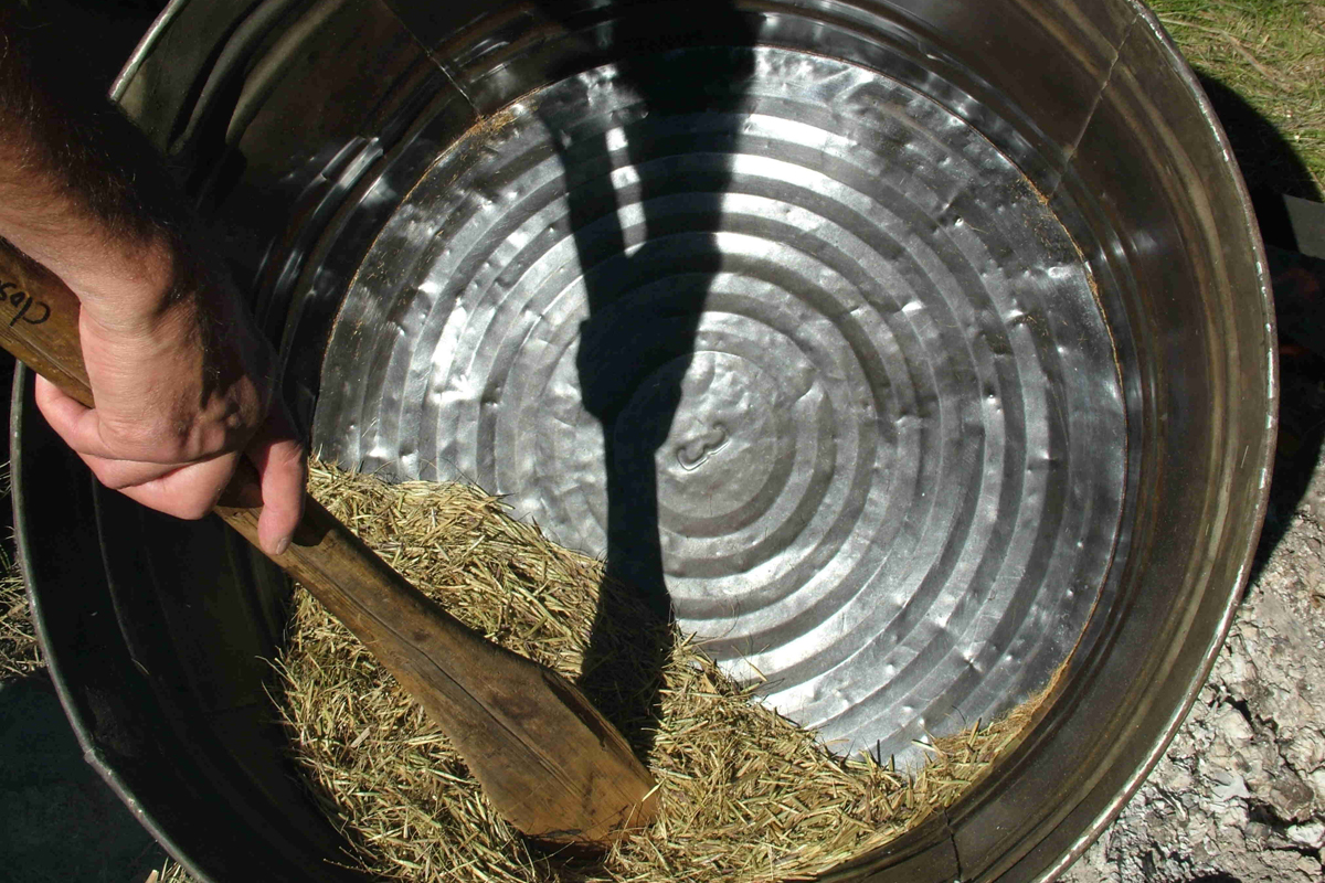 Wild Rice is Feeding Indigenous Communities in Detroit and Beyond