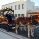 Thumb_2148-ddba-christmas-santa-horse-carriage-rides