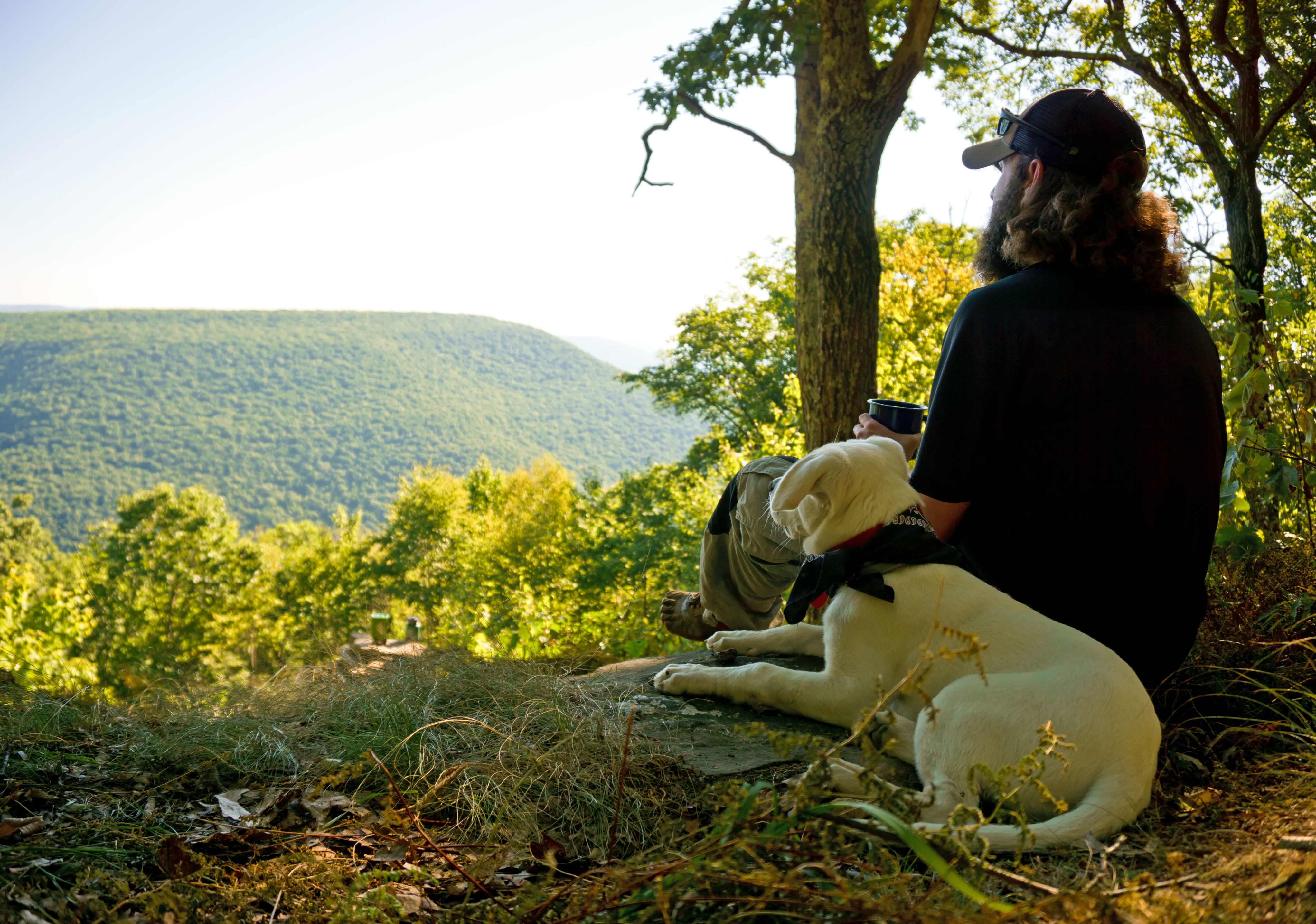 Hike The Mid State Trail A Spiritual Experience Susquehanna Life
