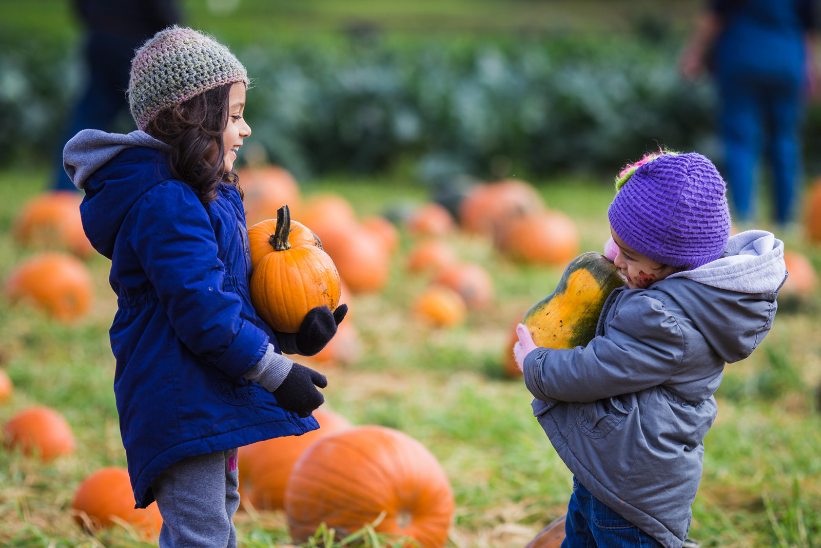 17th Annual Pumpkin Festival