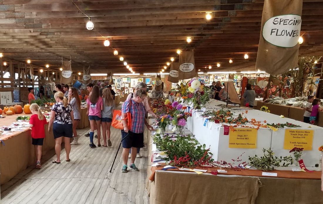Unionville Community Fair 2025